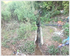  2024Ÿ4044 泲  μ 縮 329      ()