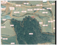  2024Ÿ4044 泲  μ 縮 329      ()