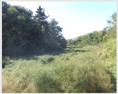  2024Ÿ4044 泲  μ 縮 329      ()