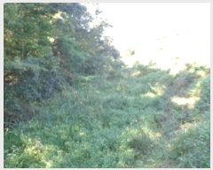  2024Ÿ4044 泲  μ 縮 329      ()