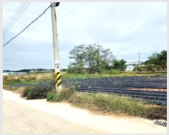  2024Ÿ4150 泲  ۾ 븮 194-1529      (Ӿ)