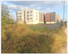  2024Ÿ4150 泲  ۾ 븮 194-1529      (Ӿ)