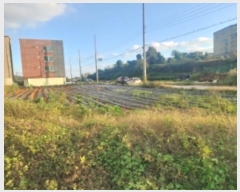  2024Ÿ4150 泲  ۾ 븮 194-1529      (Ӿ)