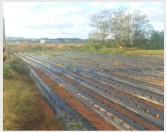  2024Ÿ4150 泲  ۾ 븮 194-1529      (Ӿ)