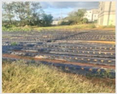  2024Ÿ4150 泲  ۾ 븮 194-1529      (Ӿ)