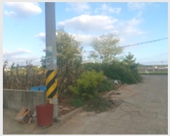  2024Ÿ4150 泲  ۾ 븮 194-1529      (Ӿ)