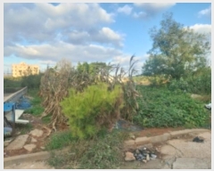  2024Ÿ4150 泲  ۾ 븮 194-1529      (Ӿ)