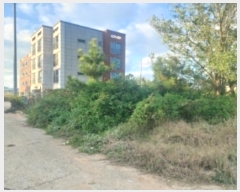  2024Ÿ4150 泲  ۾ 븮 194-1529      (Ӿ)