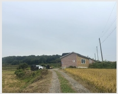  2024Ÿ4211 泲  ۾ ︮ 701      ð