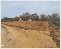  2024Ÿ4273 泲   긮 407-1      (1)