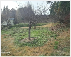  2024Ÿ4273 泲   긮 407-1      (1)