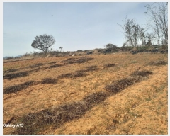  2024Ÿ4273 泲   긮 407-1      (1)