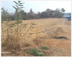  2024Ÿ4273 泲   긮 407-1      (1)