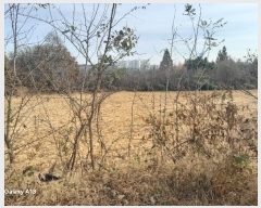  2024Ÿ4273 泲   긮 407-1      (1)