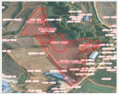  2024Ÿ4273 泲   긮 407-1      (1)