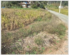  2024Ÿ��4457 �泲 �¾ȱ� ����� ��Ÿ� 344      ����(�Ӿ�)���