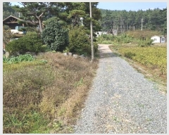  2024Ÿ��4457 �泲 �¾ȱ� ����� ��Ÿ� 344      ����(�Ӿ�)���