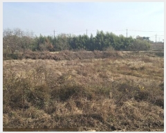  2024Ÿ4471 泲   ʴ븮 469-1      ()