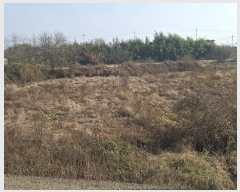  2024Ÿ4471 泲   ʴ븮 469-1      ()