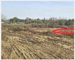  2024Ÿ4471 泲   ʴ븮 469-1      ()