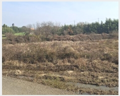  2024Ÿ4471 泲   ʴ븮 469-1      ()