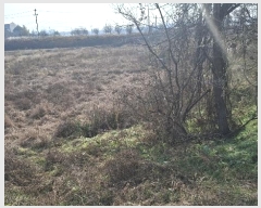  2024Ÿ4471 泲   ʴ븮 469-1      ()