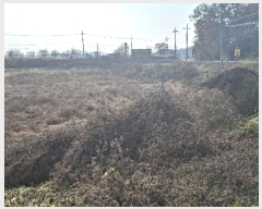  2024Ÿ4471 泲   ʴ븮 469-1      ()