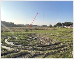  2024Ÿ4495 泲   ȭ 389      ()