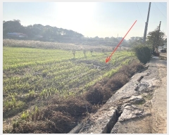  2024Ÿ4495 泲   ȭ 389      ()