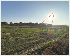  2024Ÿ4495 泲   ȭ 389      ()