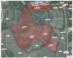  2024Ÿ4495 泲   ȭ 389      ()