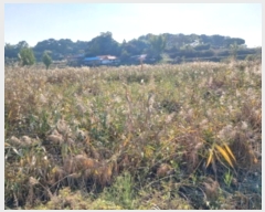  2024Ÿ4495 泲   ȭ 389      ()