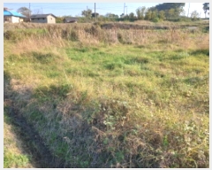  2024Ÿ4495 泲   ȭ 389      ()