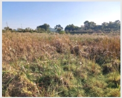  2024Ÿ4495 泲   ȭ 389      ()