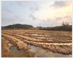  2024Ÿ4662 泲  ۾ ݰ 185      ()