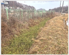  2024Ÿ4662 泲  ۾ ݰ 185      ()