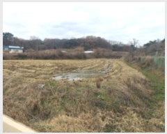  2024Ÿ4662 泲  ۾ ݰ 185      ()