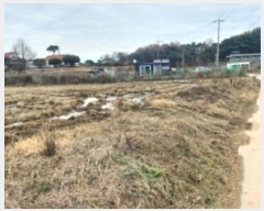  2024Ÿ4662 泲  ۾ ݰ 185      ()