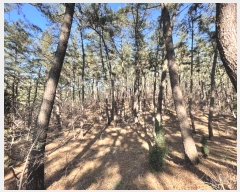  2024Ÿ50542 泲 ¾ȱ ҿ ׸ 182      (Ӿ)