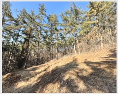  2024Ÿ50542 泲 ¾ȱ ҿ ׸ 182      (Ӿ)