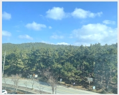  2024Ÿ50542 泲 ¾ȱ ҿ ׸ 182      (Ӿ)