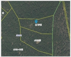  2024Ÿ50542 泲 ¾ȱ ҿ ׸ 182      (Ӿ)