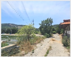  2024Ÿ54575 泲   ž 3-40      (Ӿ)