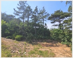  2024Ÿ54575 泲   ž 3-40      (Ӿ)