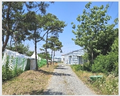  2024Ÿ54575 泲   ž 3-40      (Ӿ)