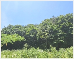  2024Ÿ54575 泲   ž 3-40      (Ӿ)