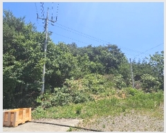  2024Ÿ54575 泲   ž 3-40      (Ӿ)