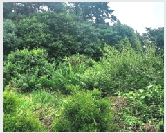  2024Ÿ��55592  �Ӿ߰��