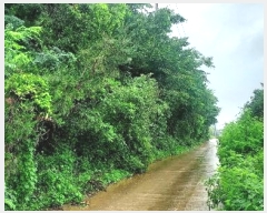  2024Ÿ��55592  �Ӿ߰��