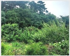  2024Ÿ��55592  �Ӿ߰��